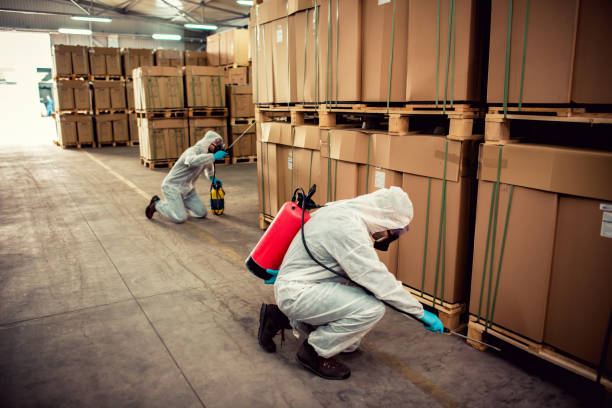 Best Wildlife Control Services  in Orcutt, CA