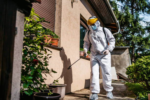 Best Affordable Pest Control Services  in Orcutt, CA