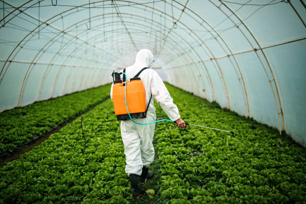 Best Best Pest Control Companies  in Orcutt, CA