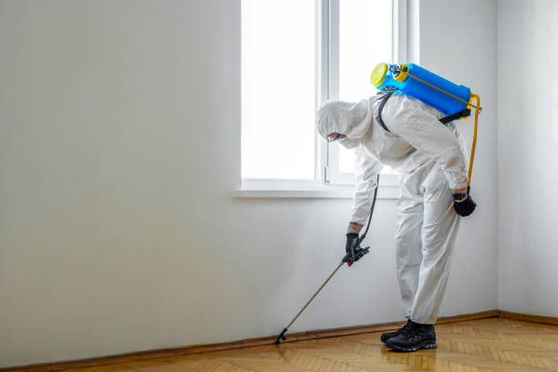Professional Pest Control in Orcutt, CA